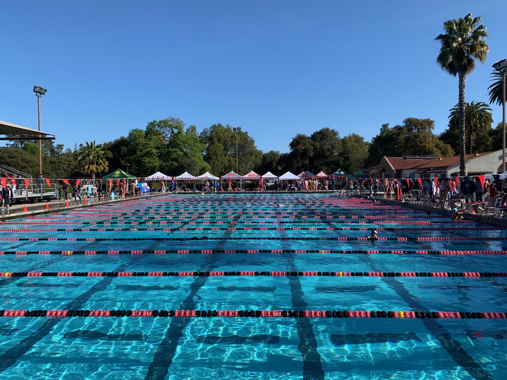 Swimming Places Sixth at the California Catholic School Challenge