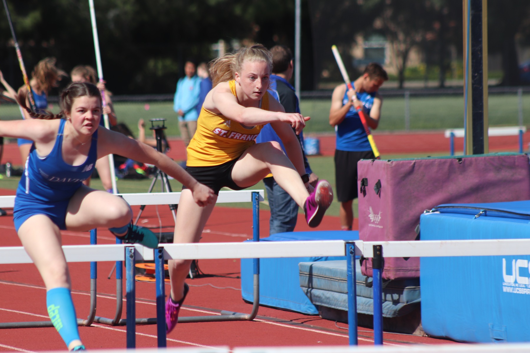 Track and Field Sweeps Davis and Elk Grove