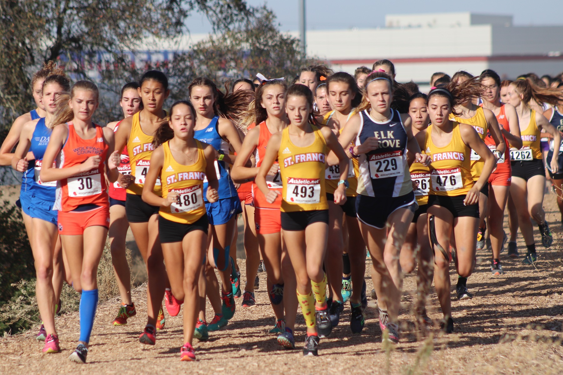Cross Country Wins Sac-Joaquin Subsections; Advances to Section Meet